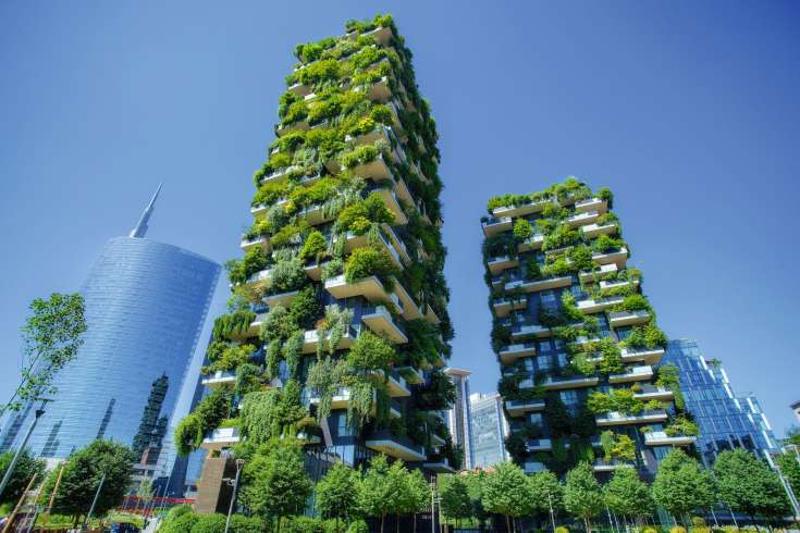 Begrünte Fassaden können Städte klimatisch entlasten